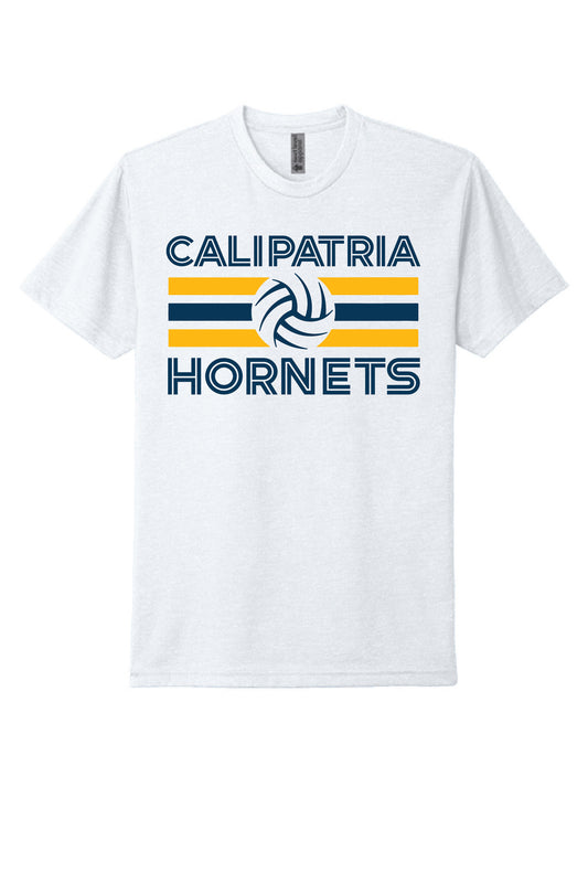Hornets Standard